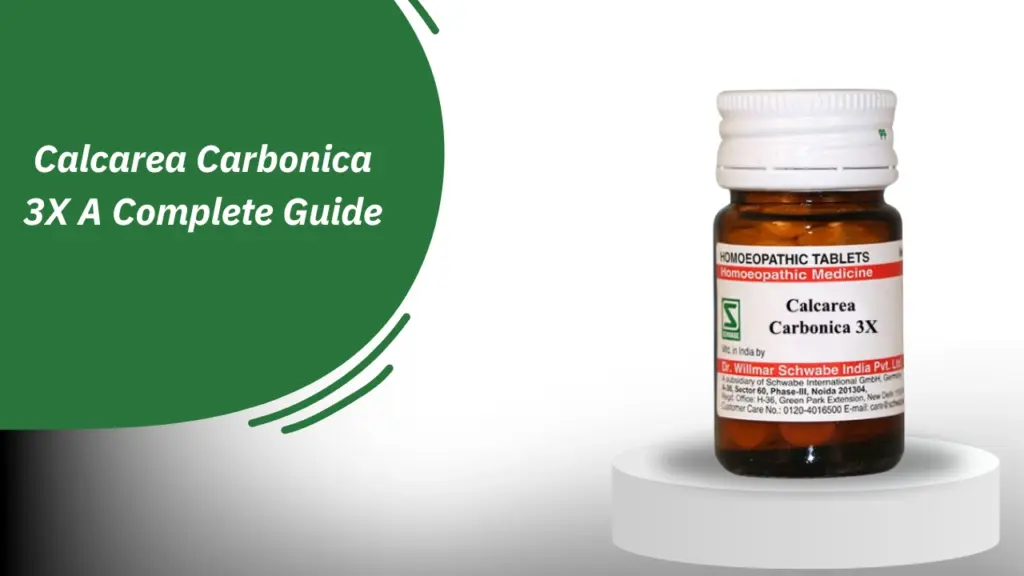 Calcarea Carbonica 3X A Complete Guide